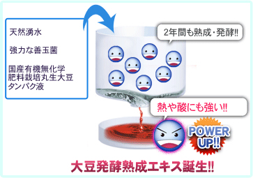 大豆発酵熟成エキスとは？