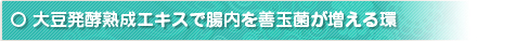 大豆発酵熟成エキスで腸内を善玉菌が増える環